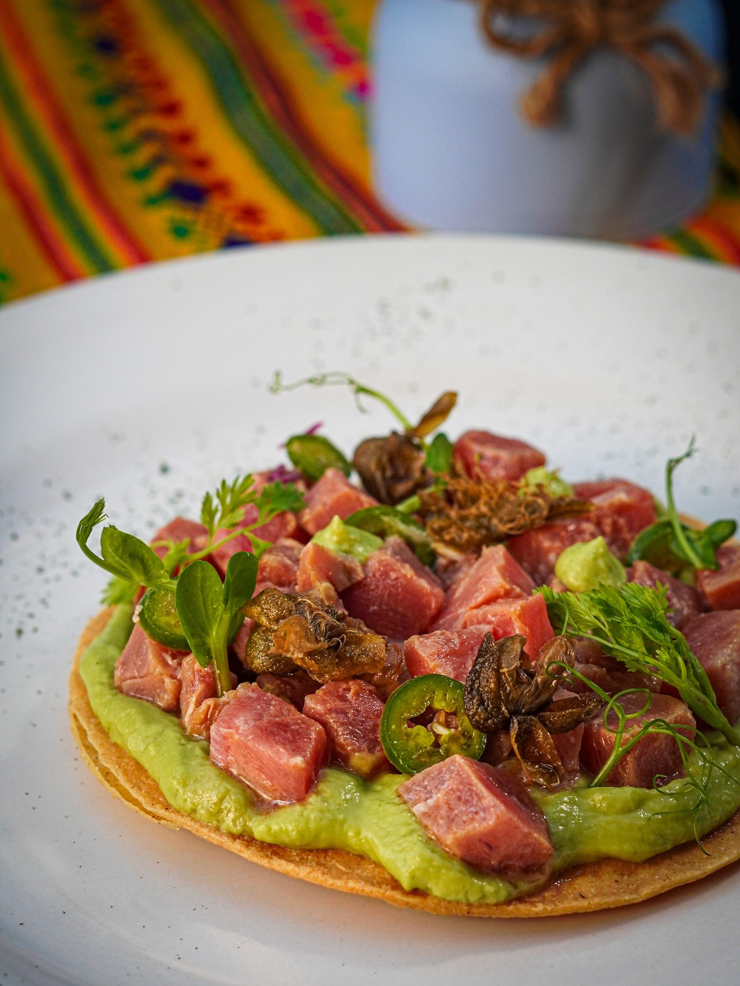 Fotografía Gastronómica